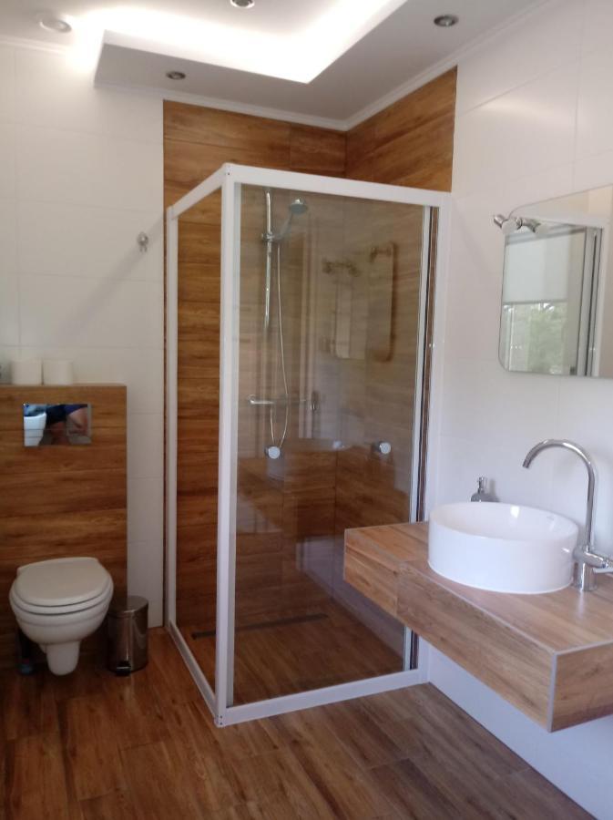 Skibowka Villa Susiec Kültér fotó
